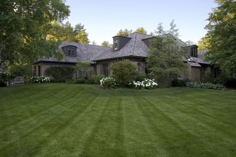 large yard with green grass-1