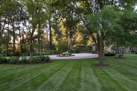 Residential Lawn Care